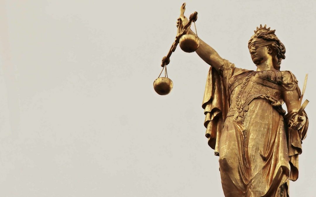 Novedades de la Ley de Sociedades Cooperativas Andaluzas